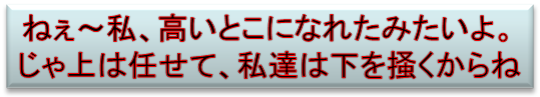 ねぇ～私、高いとこになれたみたいよ。
じゃ上は任せて、私達は下を掻くからね